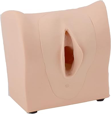 Modèle de pratique contraceptive, modèle d'organes reproducteurs féminins, modèle d'orientation contraceptive, peut être