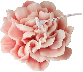 Bougie de fleur aishure faite à la main de soja et de clou
