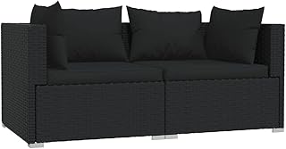Fedexcel canapé 2 places avec coussins pour patio extérieur jardin porche