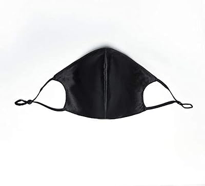 Masque double face en soie de mûrier avec filtre pm 2,5, conception non