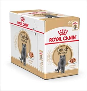 Royal canin feline breed nutrition british shorthair 12×85 g (sac)