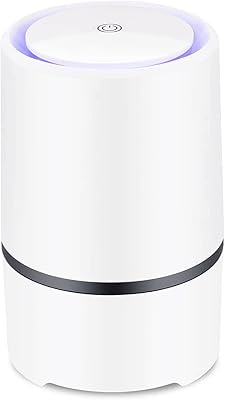 Purificateur d'air domestique avec véritables filtres hepa purificateur usb pour animaux de compagnie