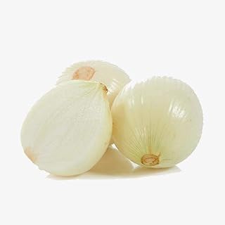 100pcs graines d'oignon blanc jardin familial variété exotique rare légume à haut rendement
