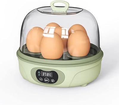 Nouvel incubateur d'œufs automatique classique pour 6 œufs avec fonction de contrôle automatique