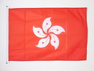 Drapeau azi 3" x 5" de hong kong extérieur drapeaux