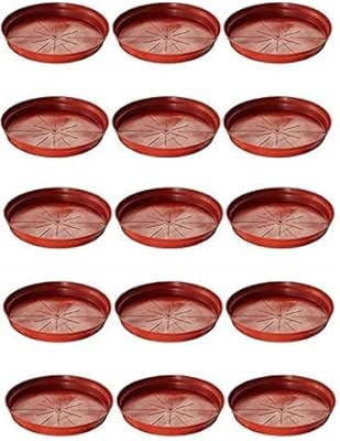 Plateau de base en plastique plants point, marron, 9", ensemble de 15