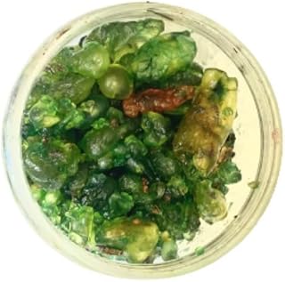 Mélange original de green luban avec de l'huile de luban de green luban