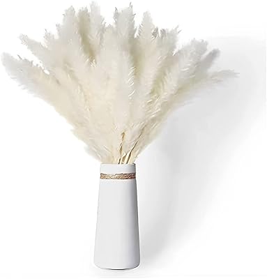 Almekaquz 10 pièces plumes d'autruche, blanc naturel 10-12 pouces pour lampe en plumes