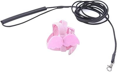 Laisse de dressage d'oiseaux, corde volante ecdonale réglable pour perroquet, corde de remorquage