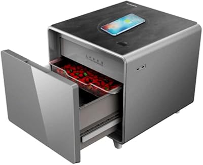 Petite table basse intelligente multifonction avec réfrigérateur tiroir réfrigérant chargement