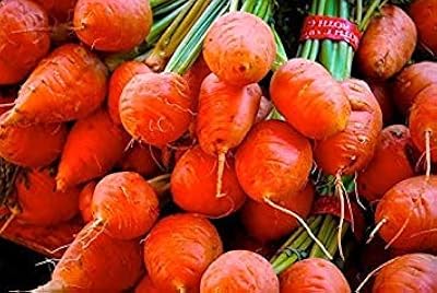 100 carottes pariser markt 4 verdure semi-ortaggi semi-orto carota. Vos marques préférées à prix réduits sur Diaytar