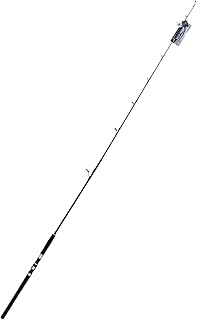 In fishing tools canne à pêche royal stick 2 pièces 7 pieds - meilleure canne à pêche pour canne à lancer avec guide fuji et poignée eva pour attraper plus de poissons, poids du leurre 15 - 40 grammes, pe : 0,8- 1,5. L'alternative e-commerce intelligente au Sénégal : Diaytar