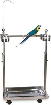 Grand support pour oiseaux newstyle en acier inoxydable jouets pour perroquets et à