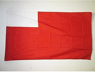 AZ FLAG DRAPEAU ABU DHABI 3 X 5 PIEDS POUR MÂT - DRAPEAUX