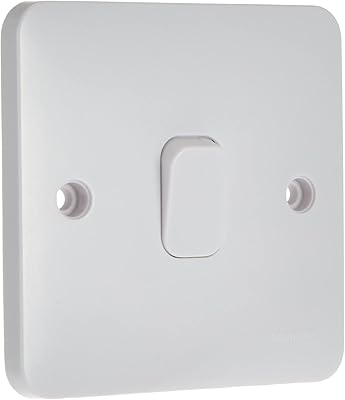 Interrupteur de panneau à 1 groupe schneider electric lacey - 10ax 1 voie
