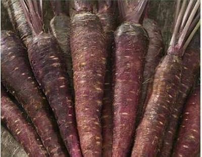 Graines de légume carotte purple sun f1