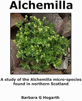 Alchemilla : une étude de la micro-espèce alchemilla trouvée dans le nord de l'écosse. Diaytar Sénégal : Le choix, la qualité, l'économie réunis