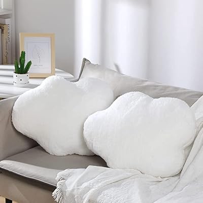 The white shop lot de 2 oreillers décoratifs pour filles et garçons