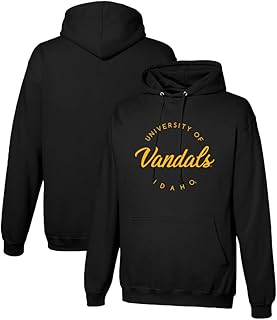 Sweats à capuche officiels boyfriend pour hommes et femmes ncaa college, rylcsuf04, multi