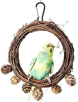 Jouet pour perroquet, balançoire pour perroquet, perchoir pour oiseaux swissy, perchoir pour perroquet