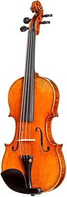 Violon d z strad 365 modèle 4 4 pleine grandeur avec ouverture