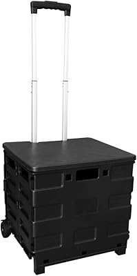 Chariot de courses pliable de 25 kg - noir | caddie portable