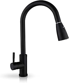Robinet de cuisine kato à poignée unique en acier inoxydable avec pulvérisateur