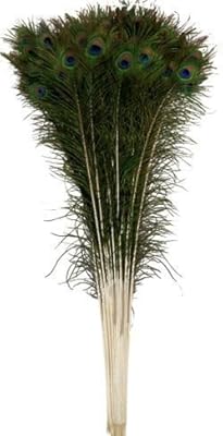 Décoration d'intérieur en plumes de paon avec plumes de paon naturelles et utilisation