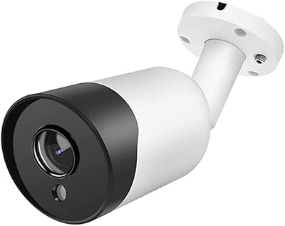 Caméra panoramique extérieure ahd 2.0mp métallique étanche ip66 avec capteur 1080p-2.0mp et objectif