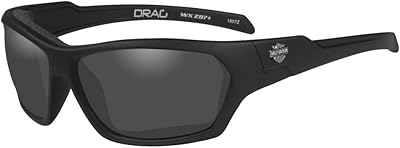 Lunettes de soleil harley-davidson drag gasket pour hommes, verres gris/montures noires hadra01
