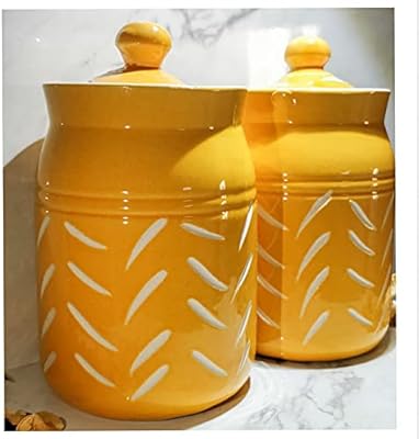 Pots de conservation en céramique shifu 500 g chacun, lot de 2 pots