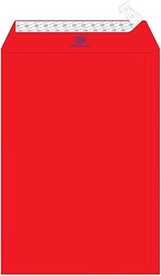 Enveloppes fis neon peel-and-seal 80 gsm, paquet de 50, taille 10 x 7