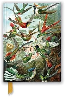 Ernst haeckel : colibris