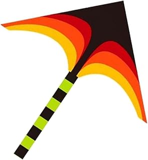 Zaltas beach kite 2pcs cerf-volant indéchirable avec poignée de queue pour cerf-volant jouet
