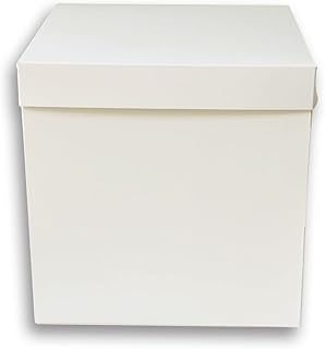 Boîtes à gâteaux de 12 pouces - 10 pièces