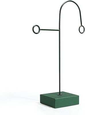 Présentoir de bijoux présentoir de boucles d'oreilles exposition d'organisateur de bijoux pour accessoires. La marketplace qui fait du bien à votre budget : Diaytar