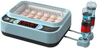Nouvel incubateur d'œufs de poule classique de 24 pièces, incubateur automatique d'humidité, d'alimentation