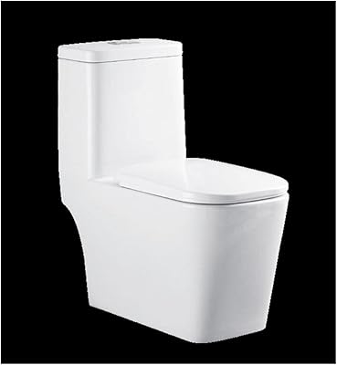 Danube home : milano wc modèle n° : 264 blanc 250 mm