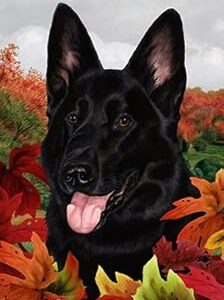 Berger allemand noir - drapeaux de jardin feuilles d'automne. Shoppez futé, shoppez Diaytar Sénégal