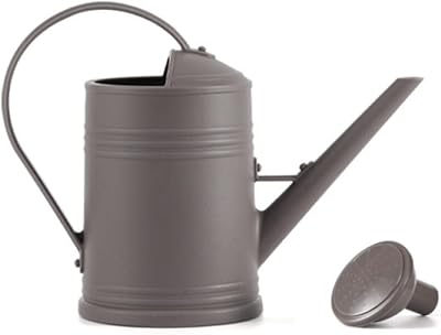 Wish arrosoir de 2 litres avec pomme de douche amovible, bouteille en plastique