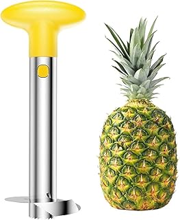 Outil trancheur et éplucheur d'ananas vide-ananas en acier inoxydable de qualité supérieure
