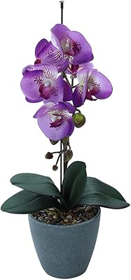 Orchidées artificielles yatai real touch - plantes artificielles pour la décoration de la maison - orchidée artificielle avec pot - fleurs artificielles pour décorations de table et décorations de festival (violet). Diaytar Sénégal : Le plaisir d'acheter sans se priver