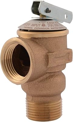Soupape de surpression acme cash rv fwl-2 3/4 pouces, bronze, 150 psi, 14737-0150
