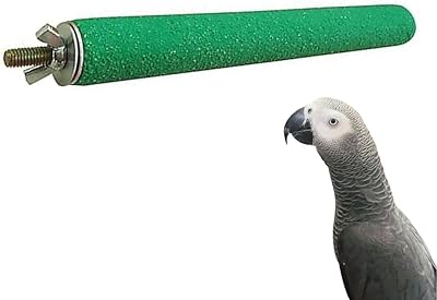 Perchoir de meulage de griffes d'oiseau bitsari | poteau de support en bois
