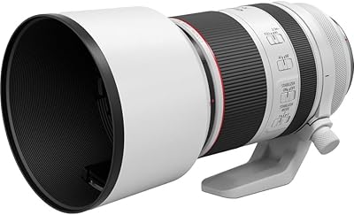 Objectif canon rf 70-200mm f2.8 l is usm pour appareil photo sans miroir