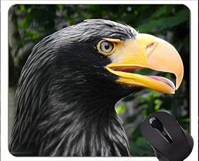 Tapis de souris de jeu en caoutchouc antidérapant eagles, tapis de souris