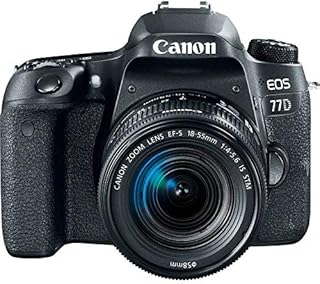 Objectif reflex numérique canon eos 77dmm f4-5.6 is stm 242 mp
