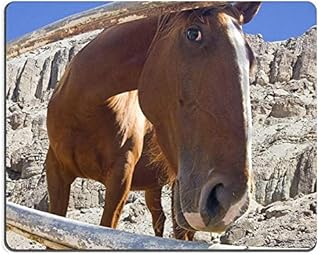 Tapis de souris de jeu tapis de souris en caoutchouc naturel tapis de souris d'un cheval curieux sous la clôture m0a05232. Électroménager, mode, beauté... Diaytar a tout en stock