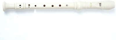 Mike music soprano discan enregistreur 8 trous avec tige de nettoyage
