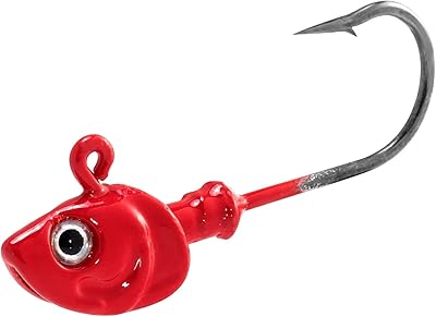 Dr. fish 10 pièces ensemble têtes plombées de pêche en eau